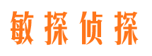 贺兰寻人公司